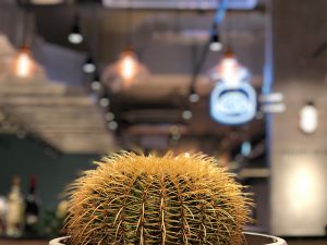 Concept to go - 家居設計
